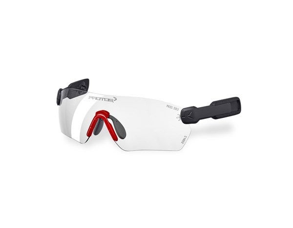 e.s. Schutzbrille Protos® Integral